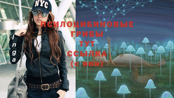 spice Волоколамск