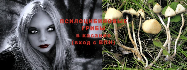 spice Волоколамск