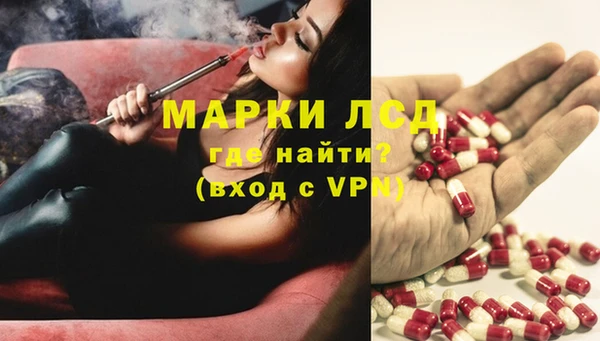 spice Волоколамск