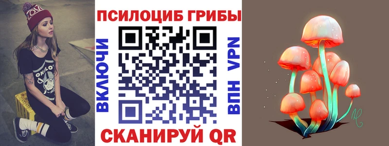 купить наркоту  Дудинка  Псилоцибиновые грибы мухоморы 
